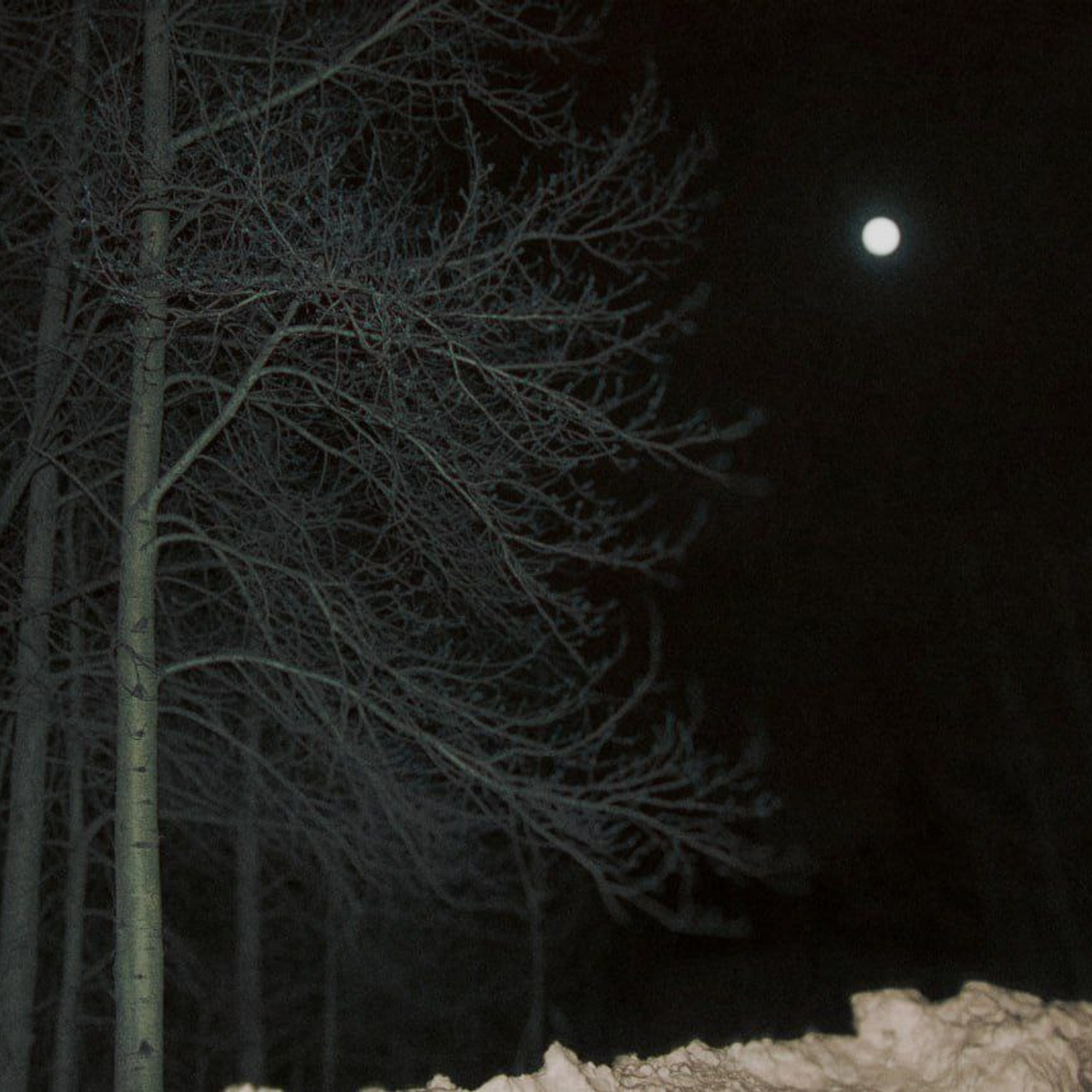 Winter night collection | Tomsk. Концертный фотограф PHBAKHAREV