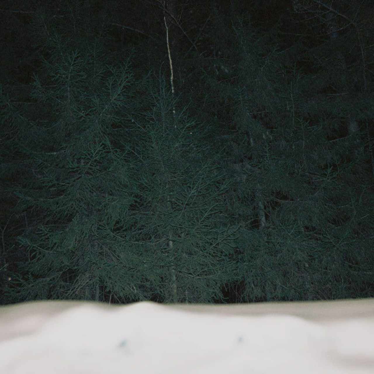 Winter night collection | Tomsk. Концертный фотограф PHBAKHAREV