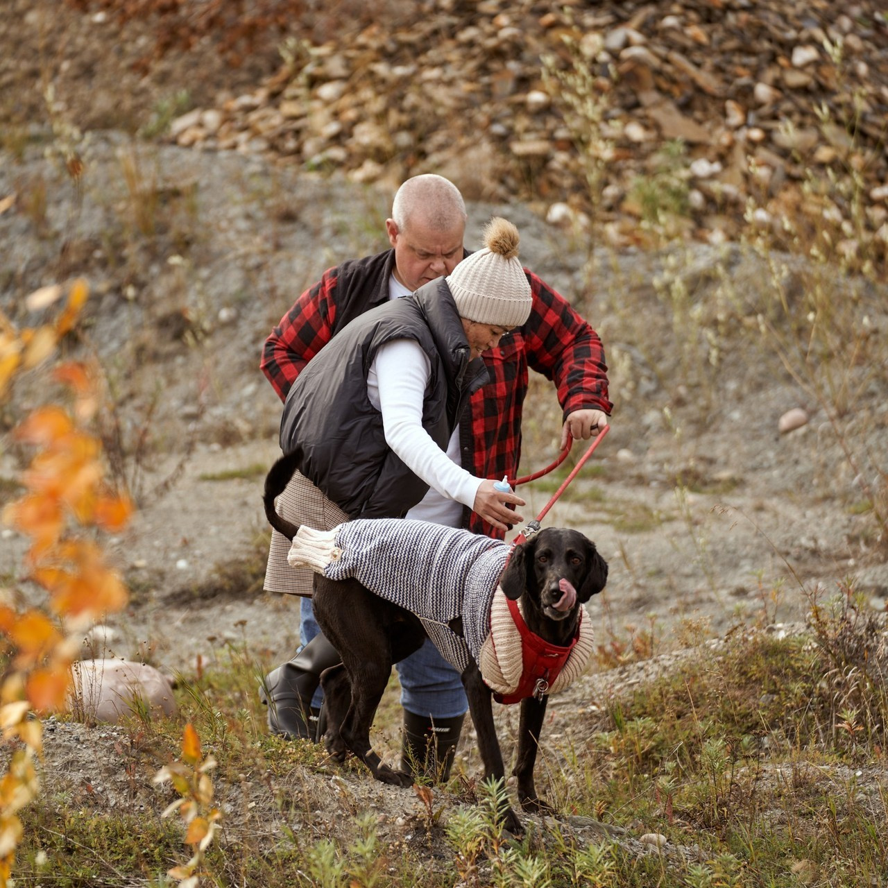 Customer review. Norman Wells photographer Ekaterina Konovalenko