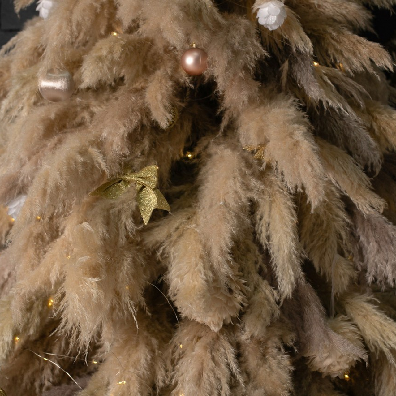 Отзывы. Дарья Писарева — Свадебный и семейный фотограф и фотосессия в Ачинске