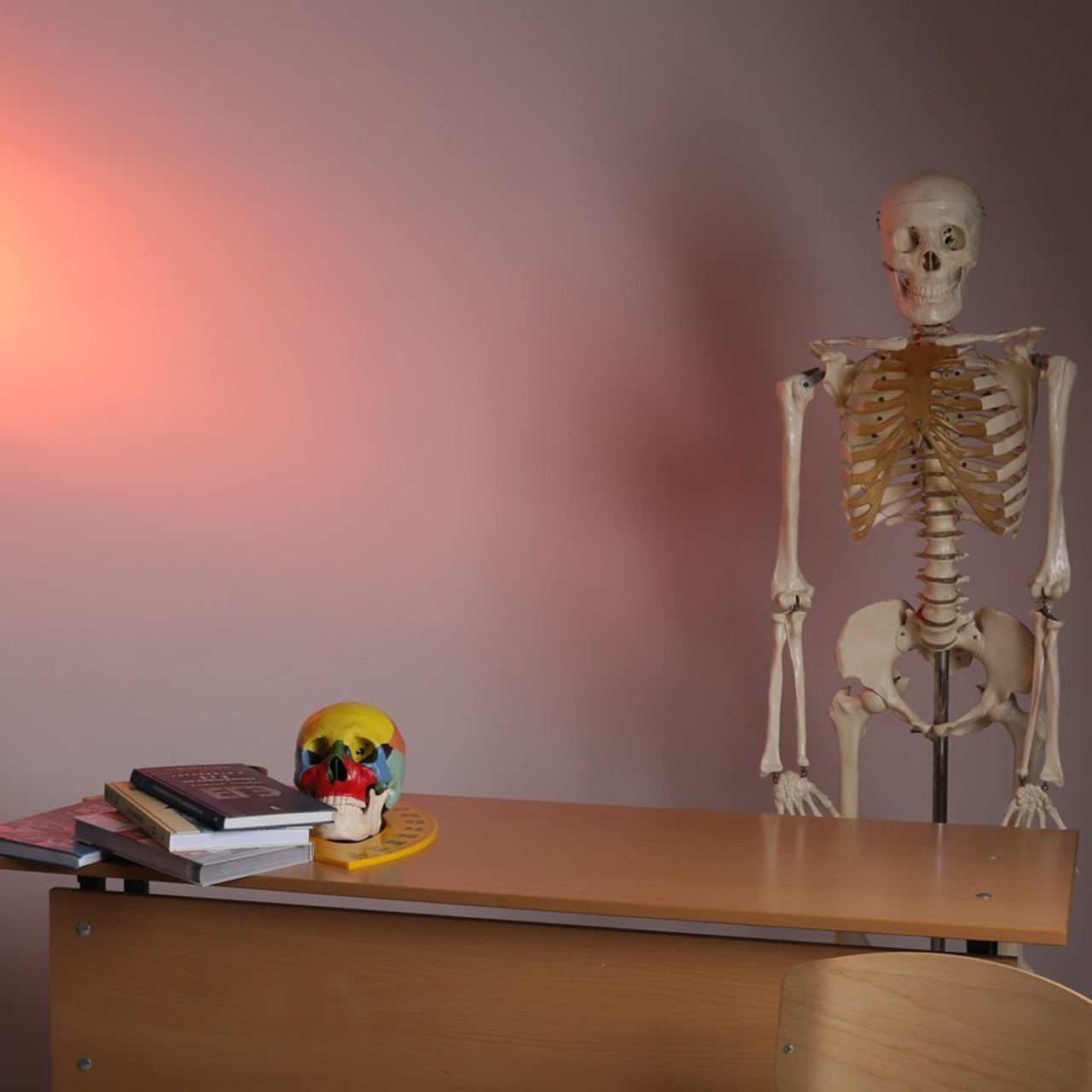 Отзывы. Дарья Писарева — Свадебный и семейный фотограф и фотосессия в Ачинске