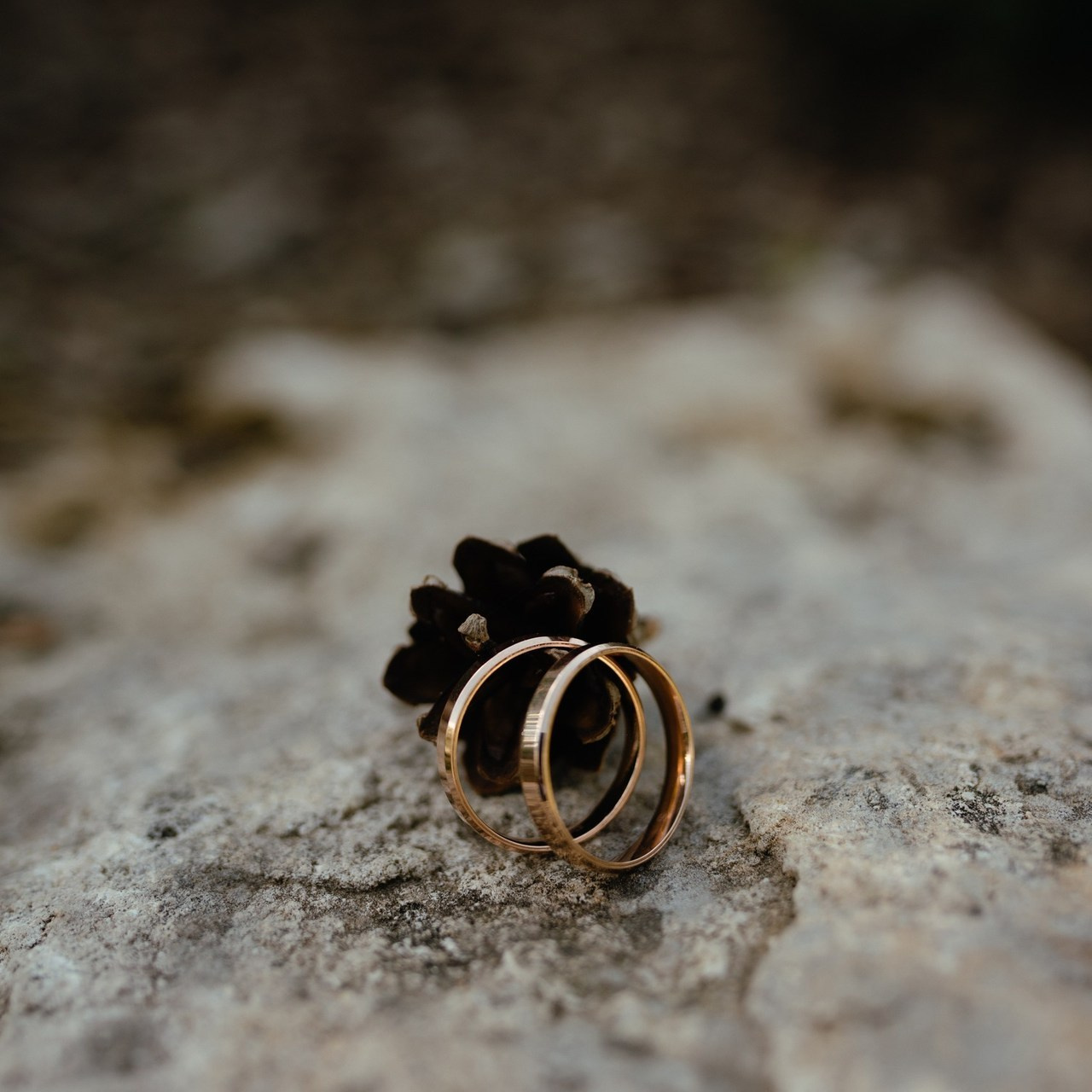 Отзывы. Свадебный и семейный фотограф во Владимире Белашова Анастасия