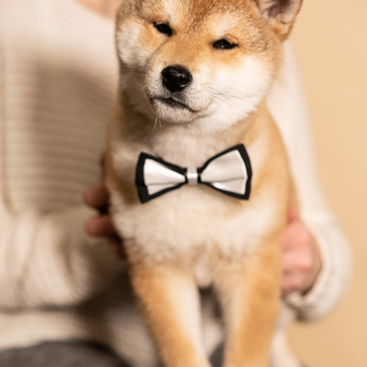 Отзывы. Студийный и портретный фотограф в САНКТ-ПЕТЕРБУРГЕИрина Махаон