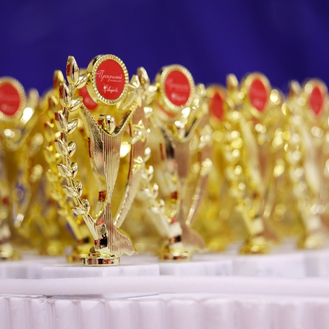 Отзывы. Спортивный и репортажный фотограф Антон Тереханов