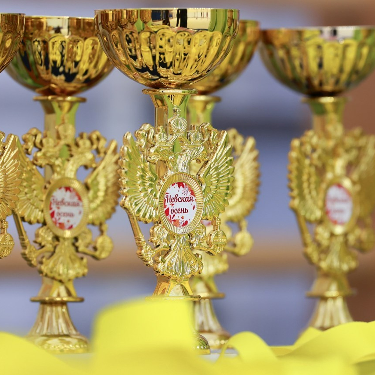 Отзывы. Спортивный и репортажный фотограф Антон Тереханов