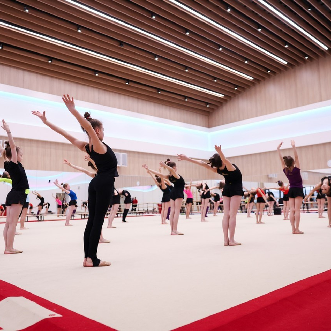 Отзывы. Спортивный и репортажный фотограф Антон Тереханов