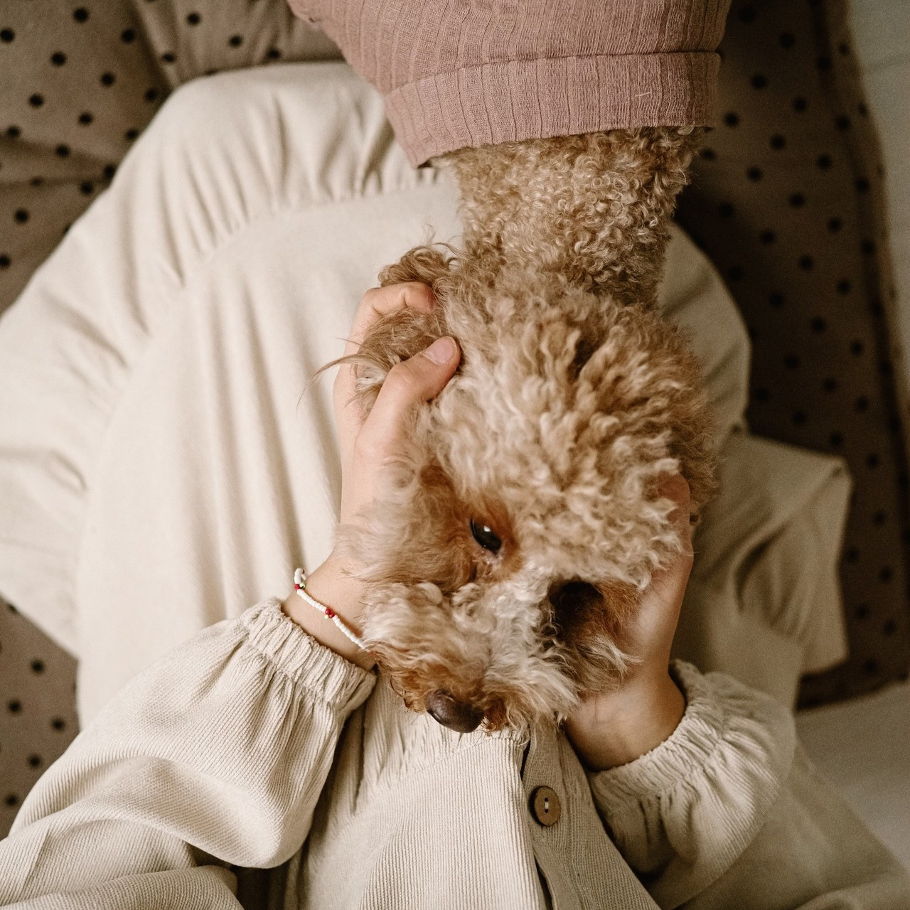 Отзывы. Фотограф Рязань. Семейный Свадебный фотограф