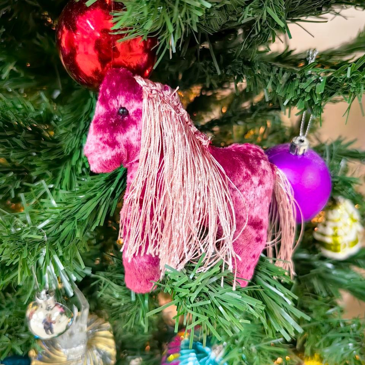 Опережая время: лошадиный десант 2026. Школа для девочек во Владивостоке — Само Совершенство