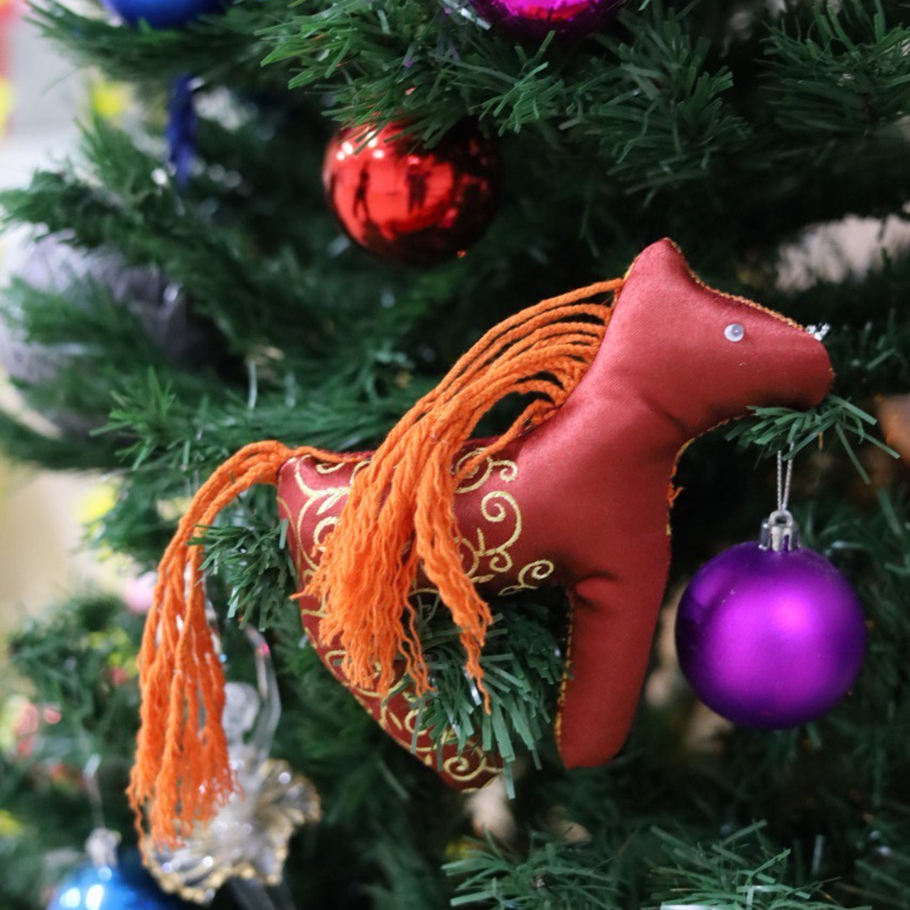 Опережая время: лошадиный десант 2026. Школа для девочек во Владивостоке — Само Совершенство