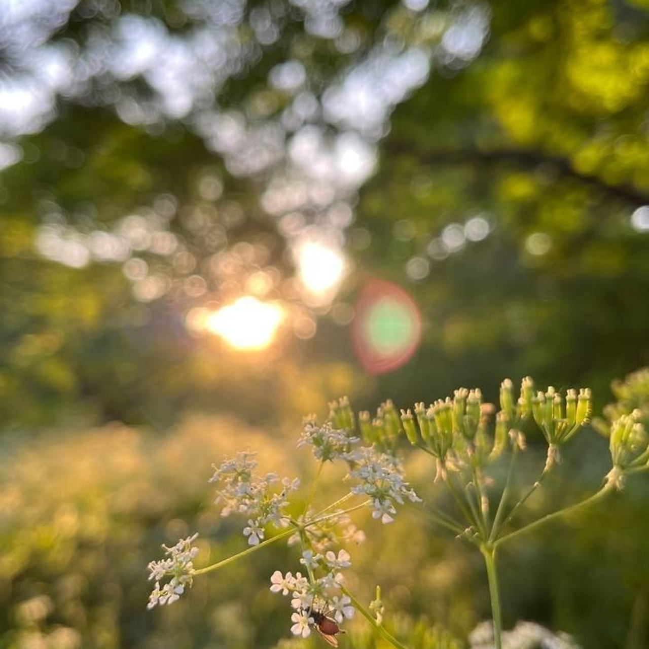 Отзывы. Семейный фотограф в Саратове Элоиза Ляпина