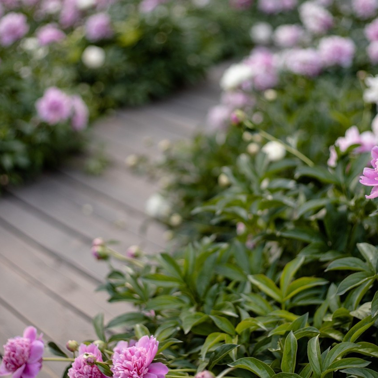 Отзывы. Семейный фотограф в Саратове Элоиза Ляпина