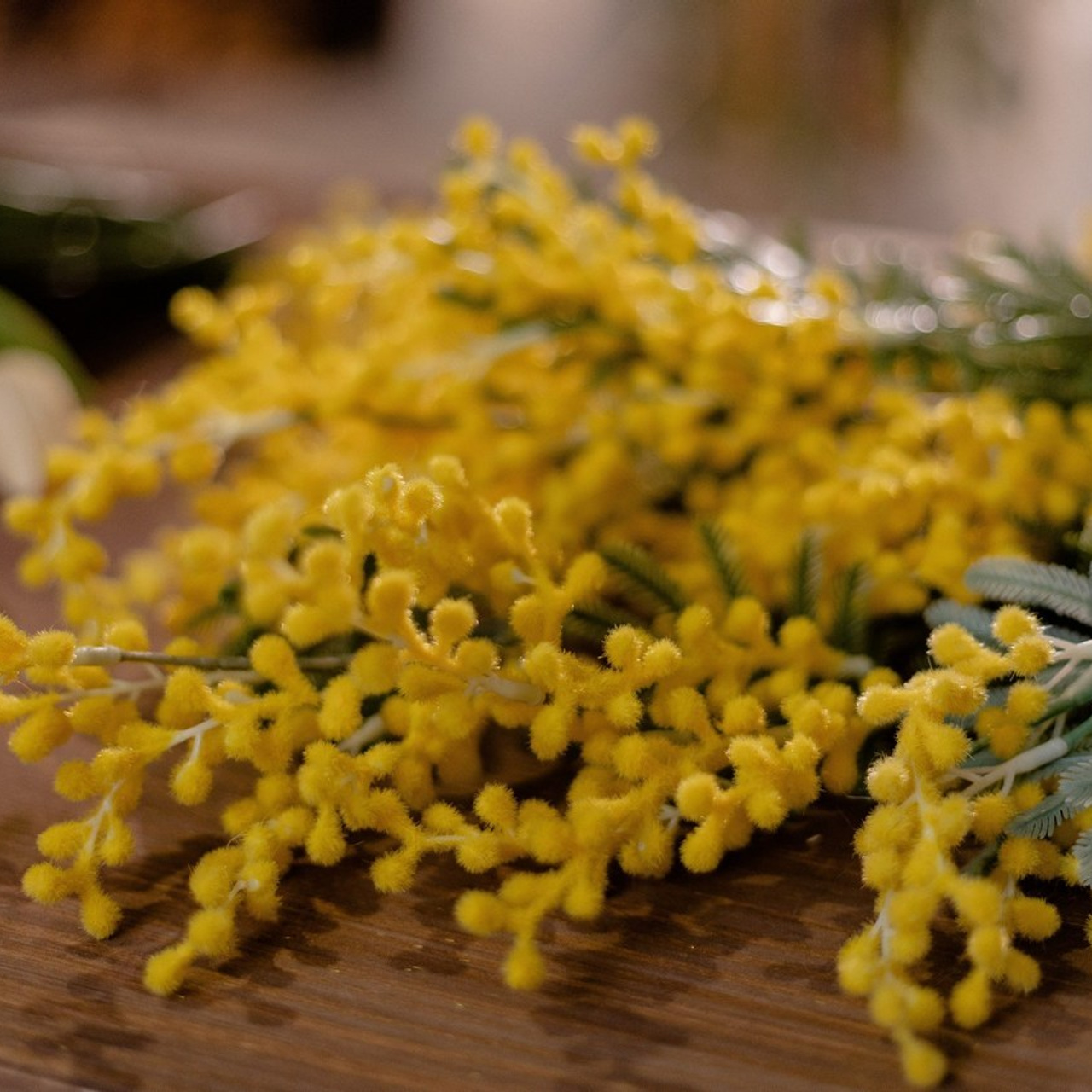 Отзывы. Семейный фотограф в Саратове Элоиза Ляпина