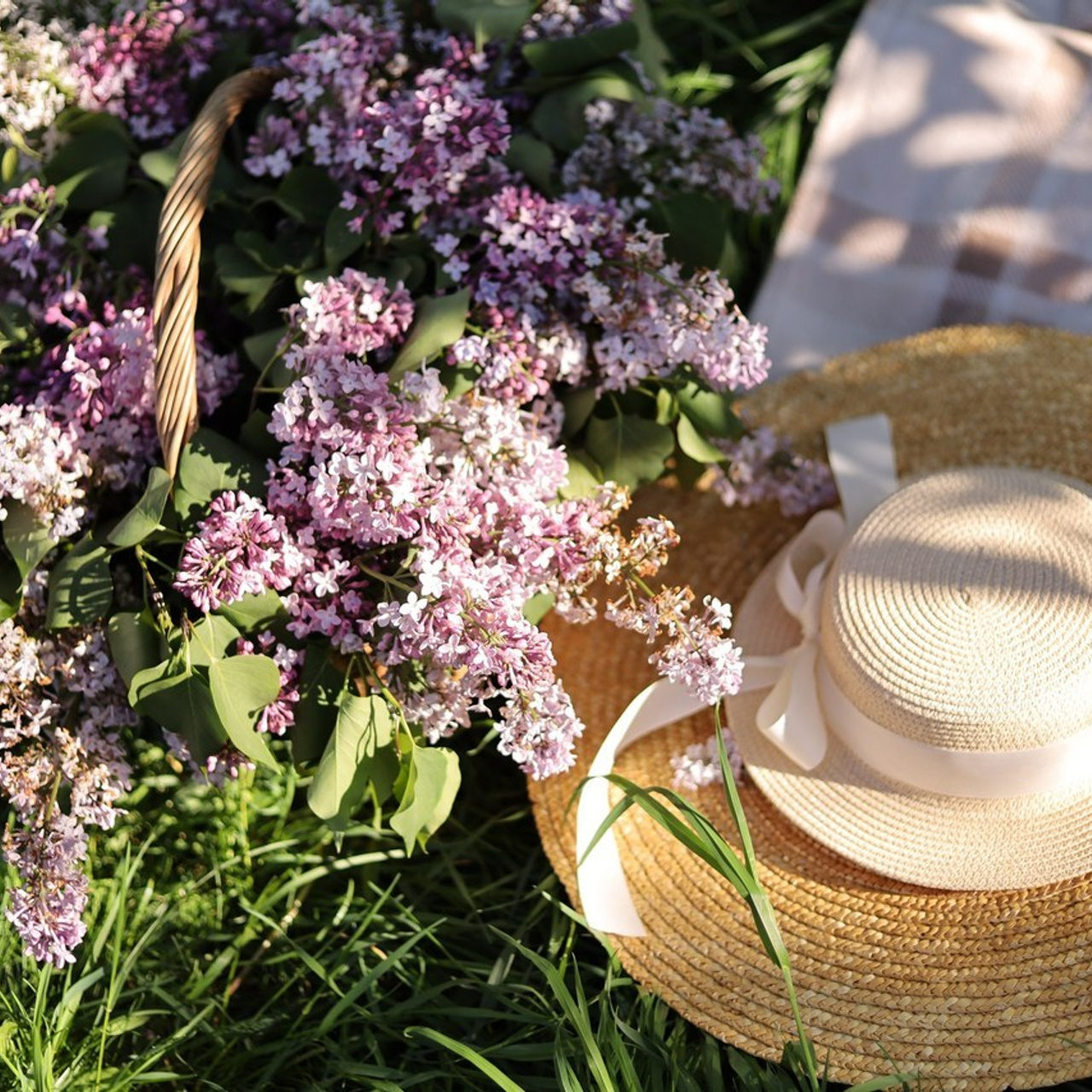 Отзывы. Семейный фотограф в Саратове Элоиза Ляпина