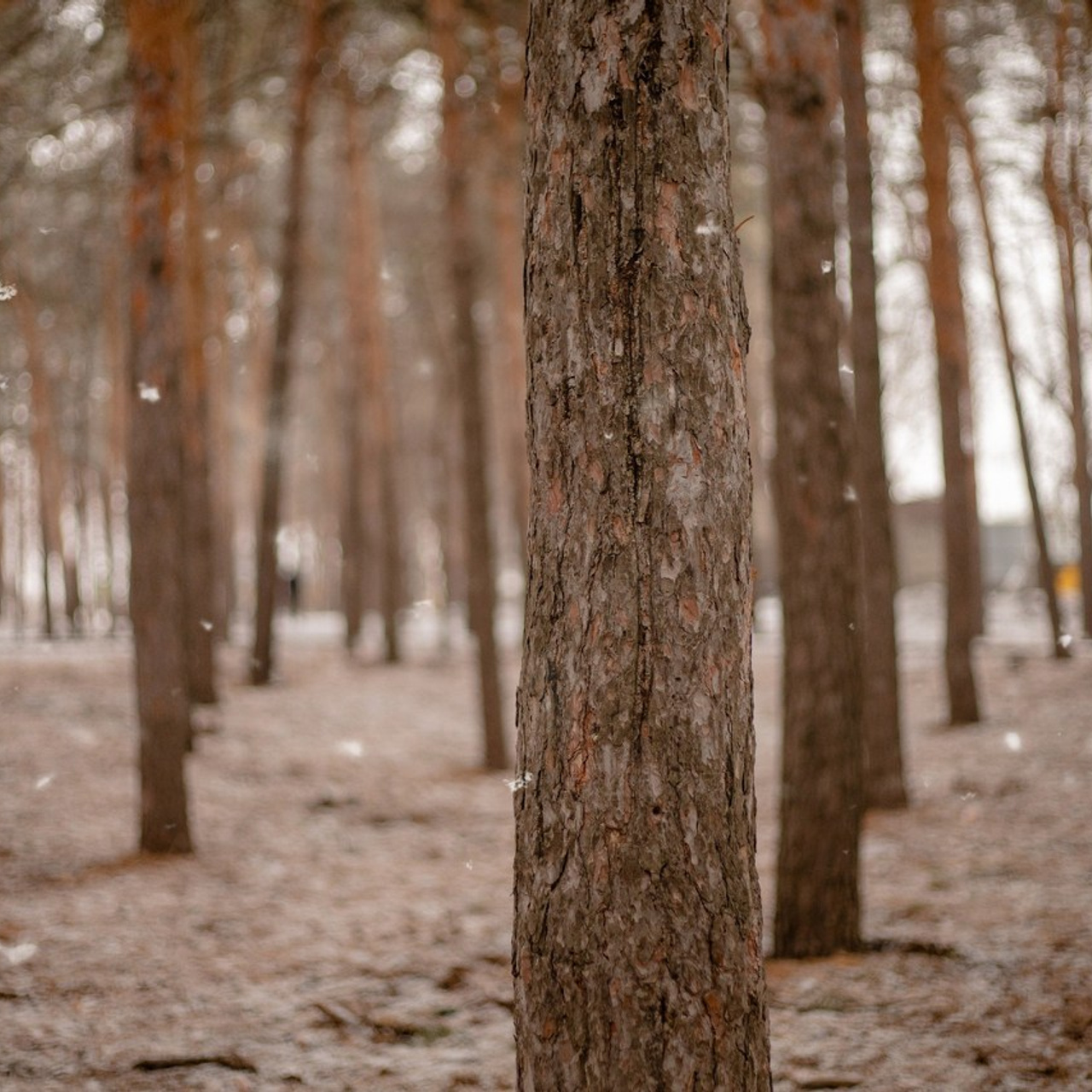 Отзывы. Семейный фотограф в Саратове Элоиза Ляпина