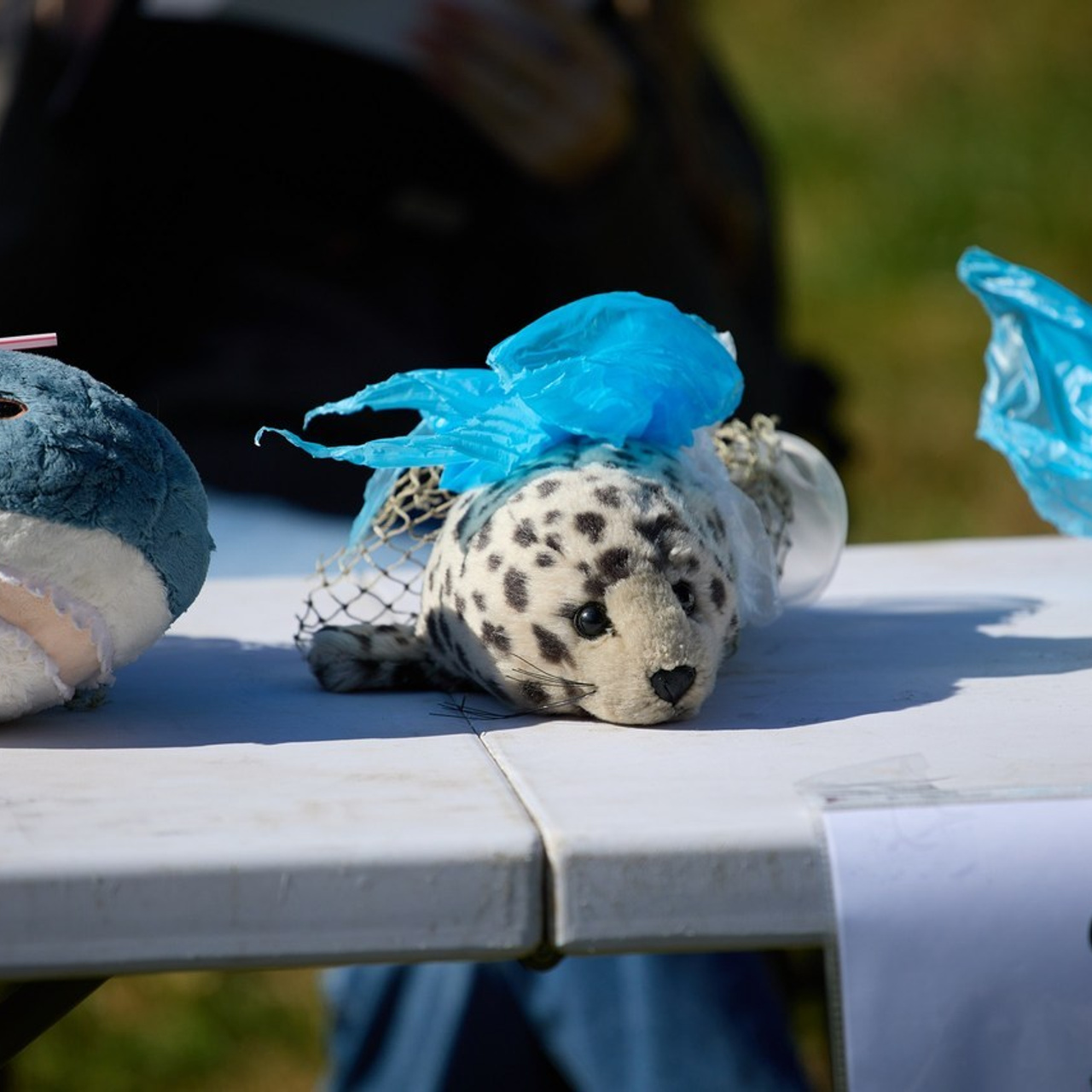 Отзывы. Фотограф в Южно-Сахалинске Вадим Бороненков