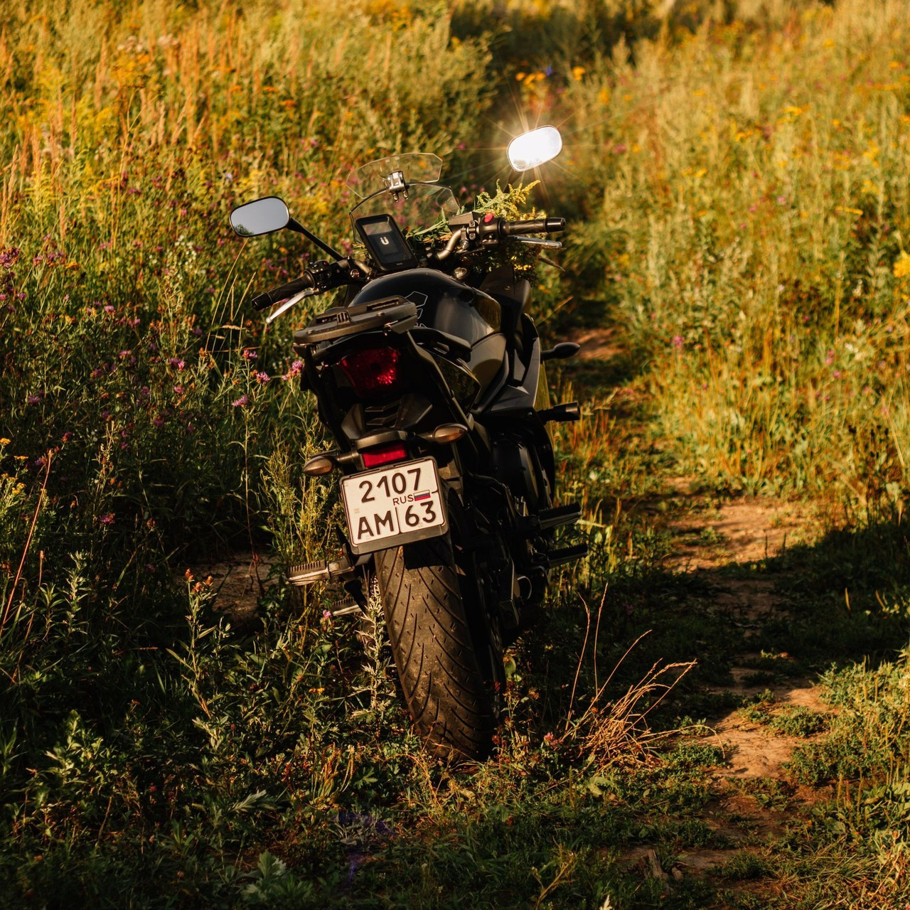 Отзывы. Ирина, фотограф Москва/Бутово