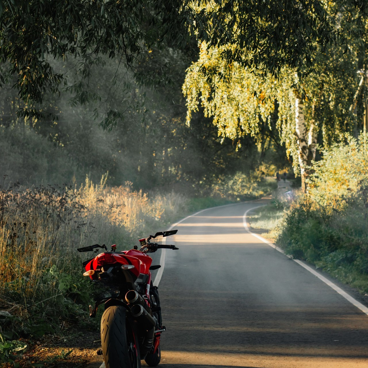 Отзывы. Ирина, фотограф Москва/Бутово