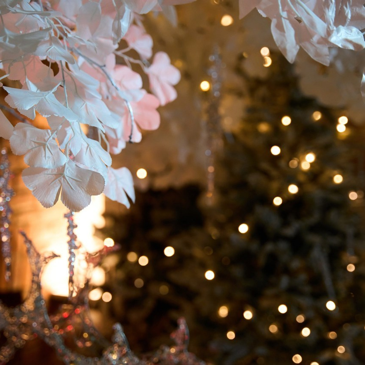 Отзывы о фотографе Дмитрий Бирцев. Свадебный и Репортажный фотограф в Санкт-Петербурге Дмитрий Бирцев