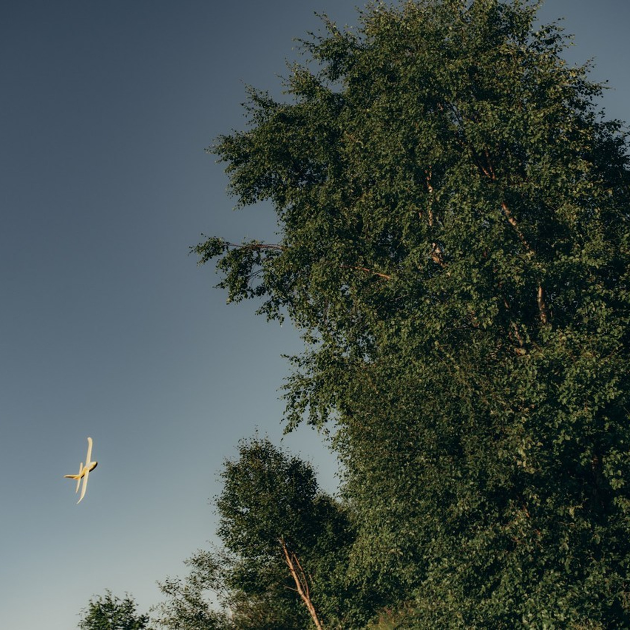 Отзывы. Обо мне