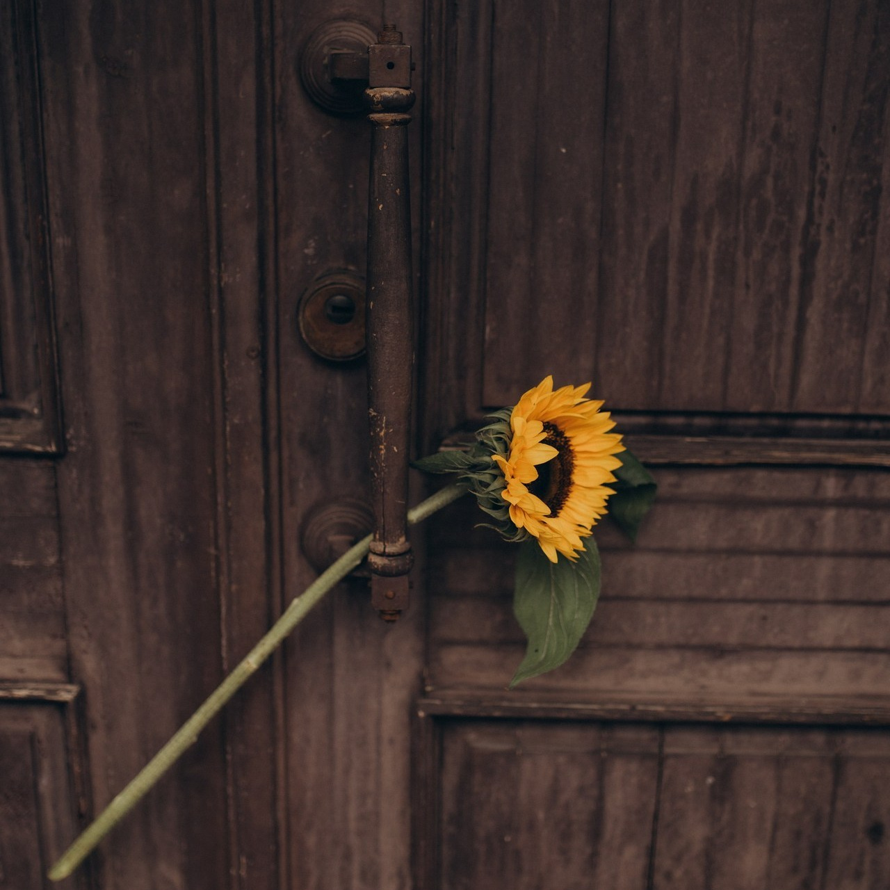 Отзывы. Обо мне