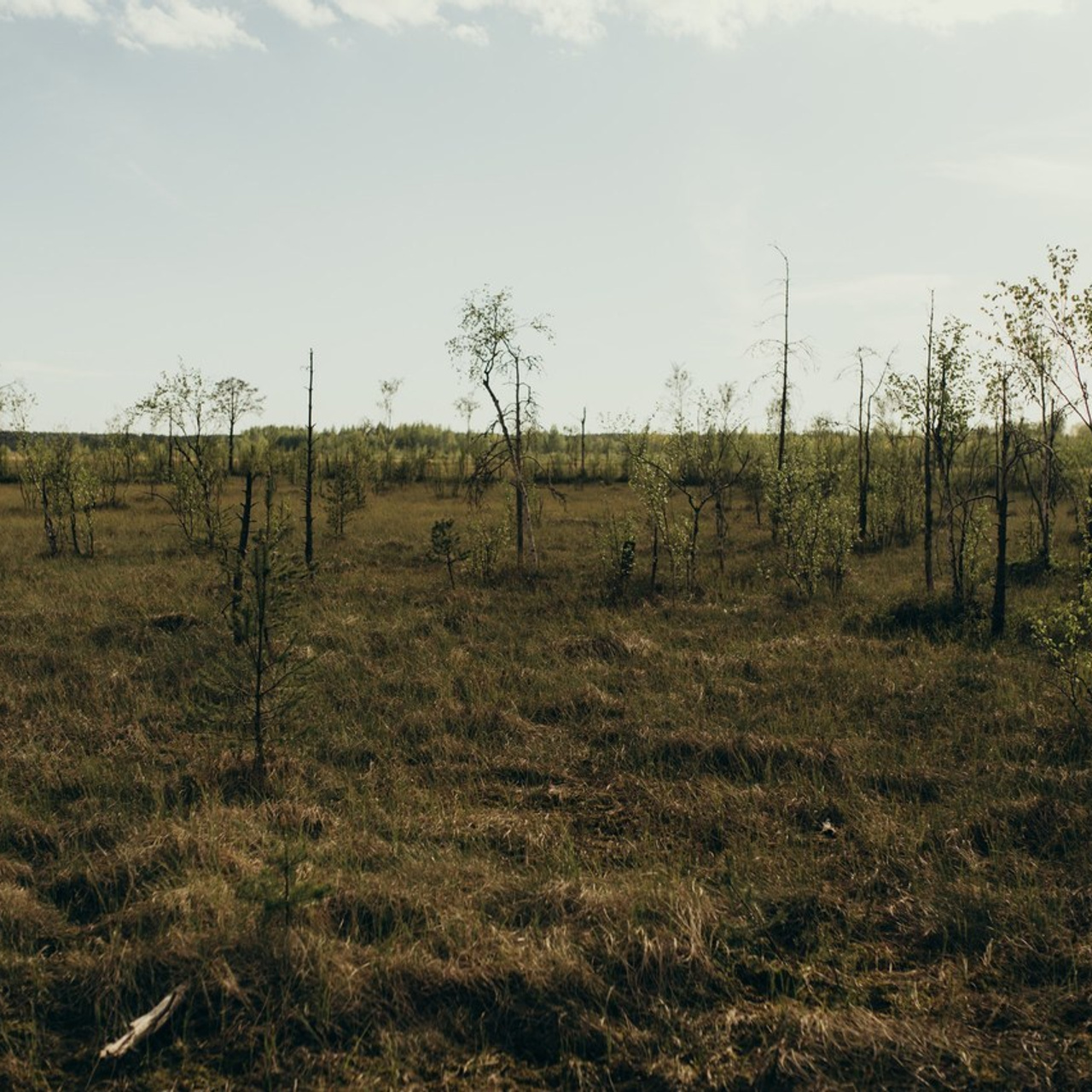 Отзывы. Обо мне