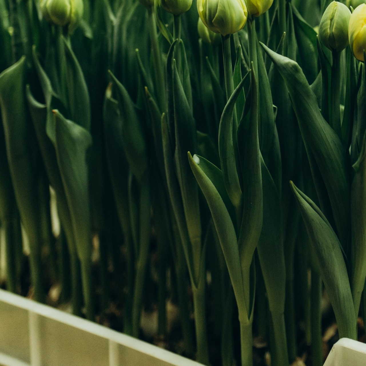 Отзывы. Обо мне