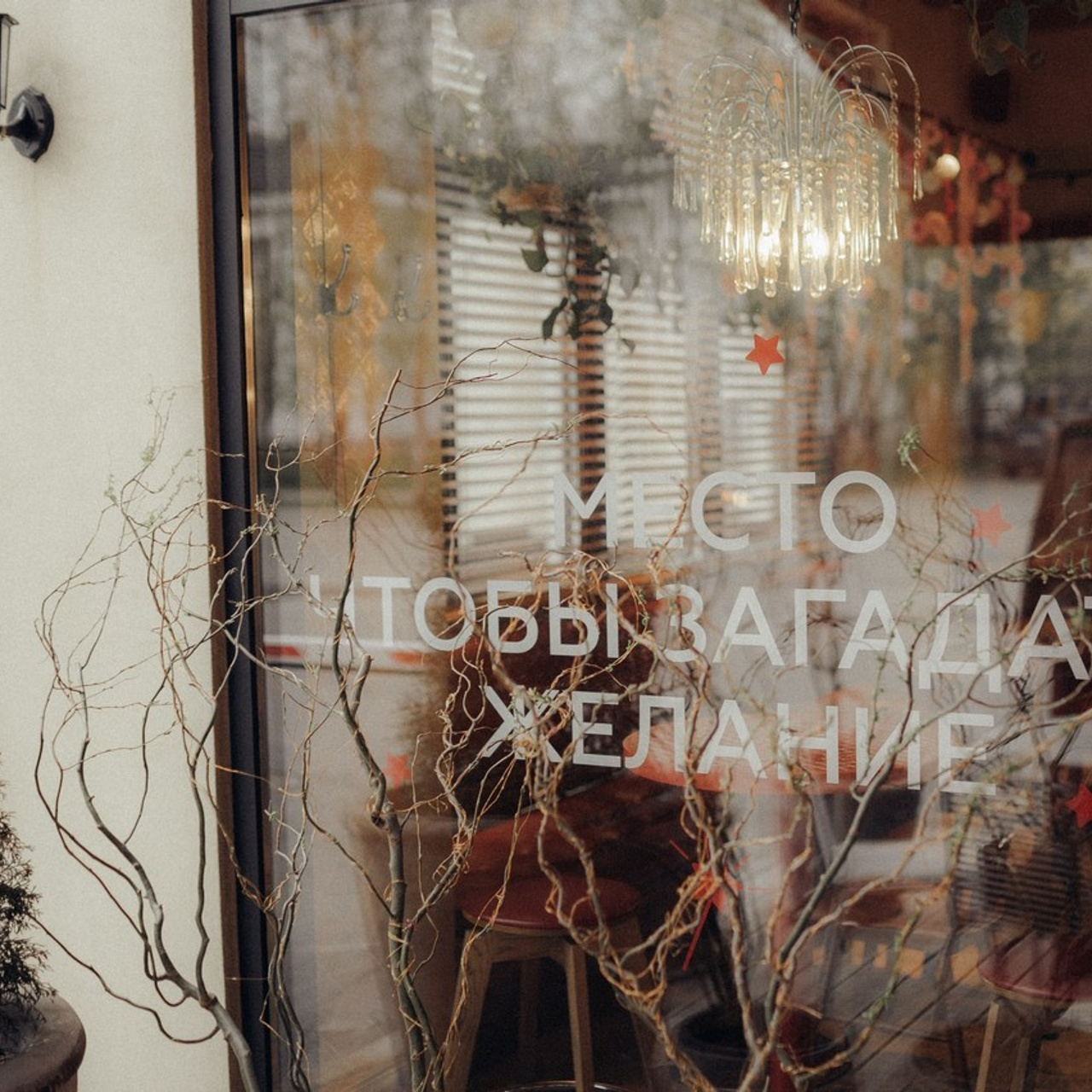 Отзывы. Фотограф Смирнова Ольга