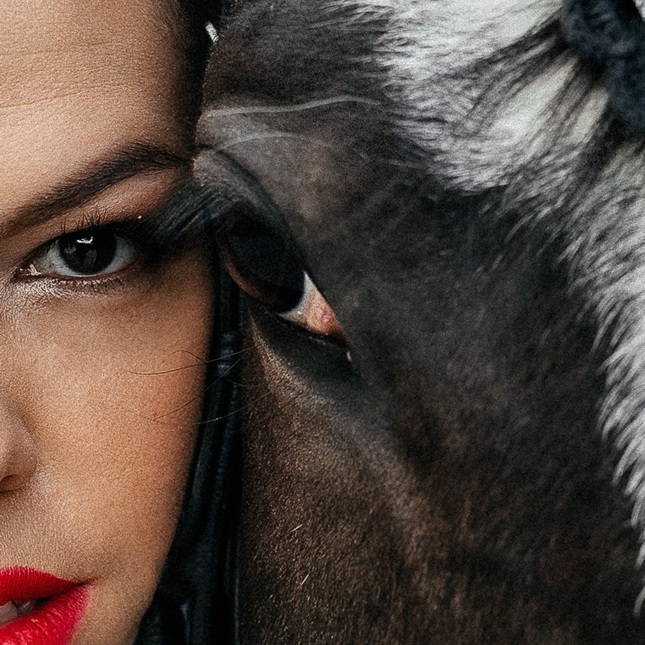 Конная прогулка. Тома и Кеша.