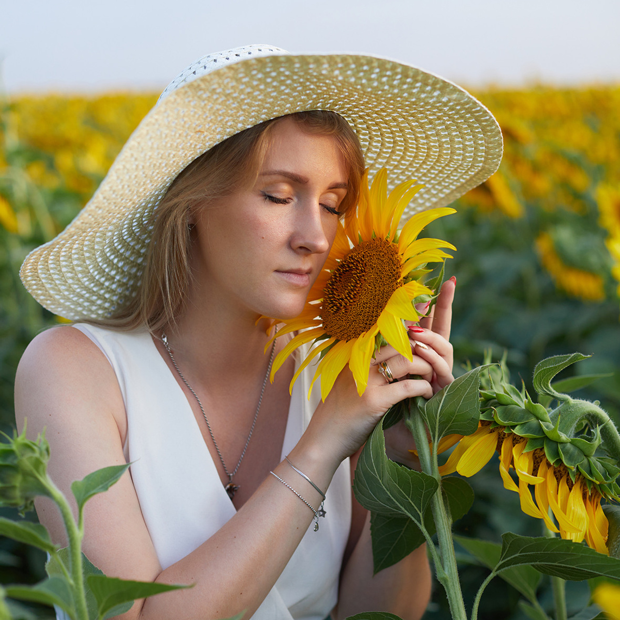 «В подсолнухах»