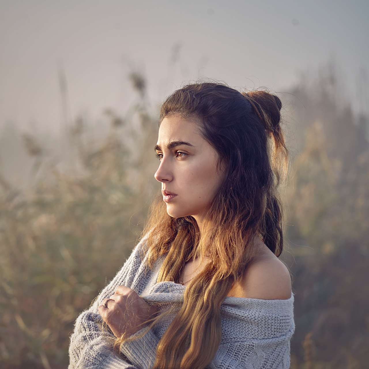 «Туманный рассвет»