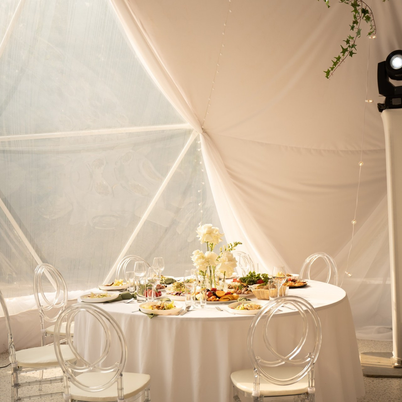 Отзывы. Свадебный фотограф Диана Бирюкова Казань