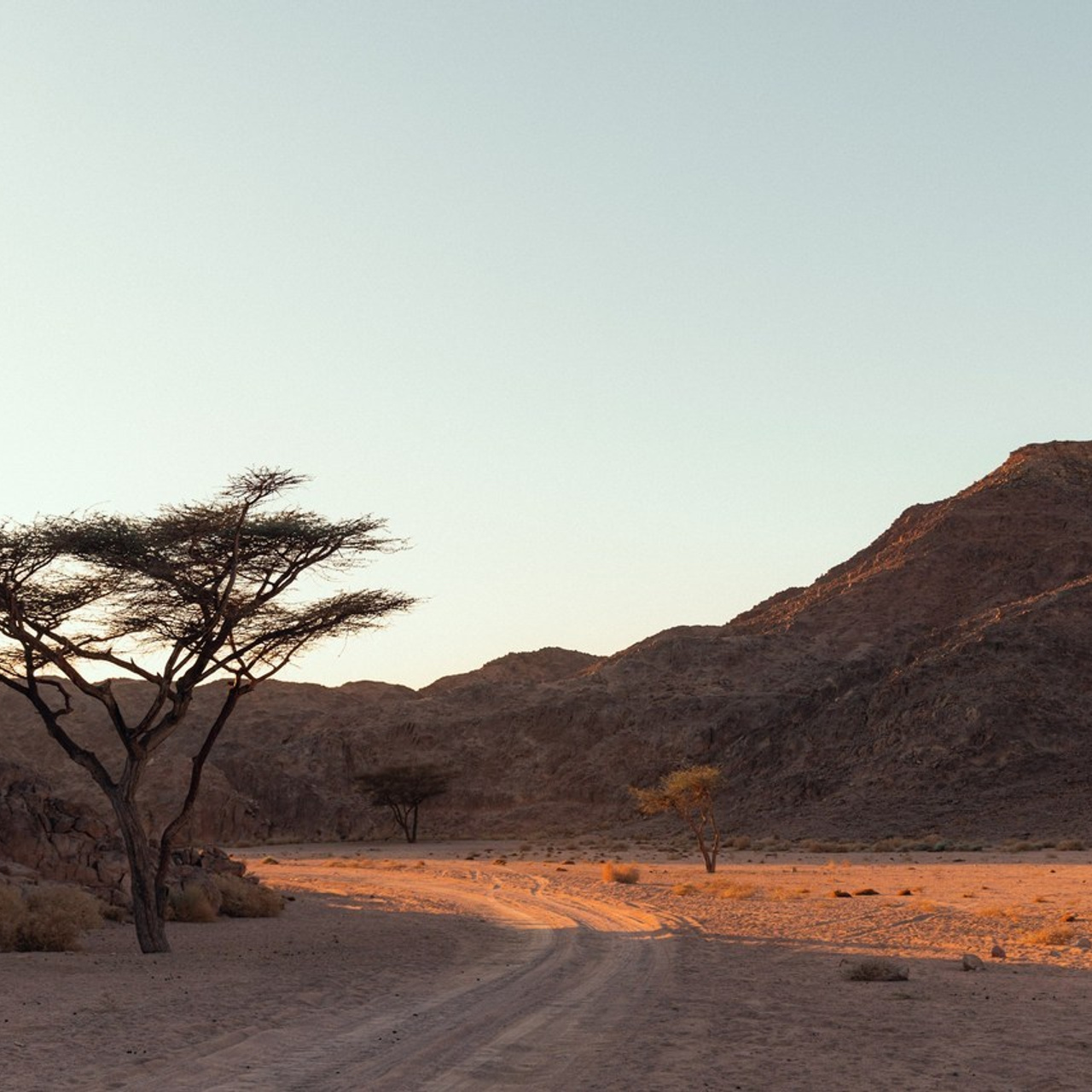 Отзывы. Упаковка, фотосъёмка, дизайн для специалистов и компаний