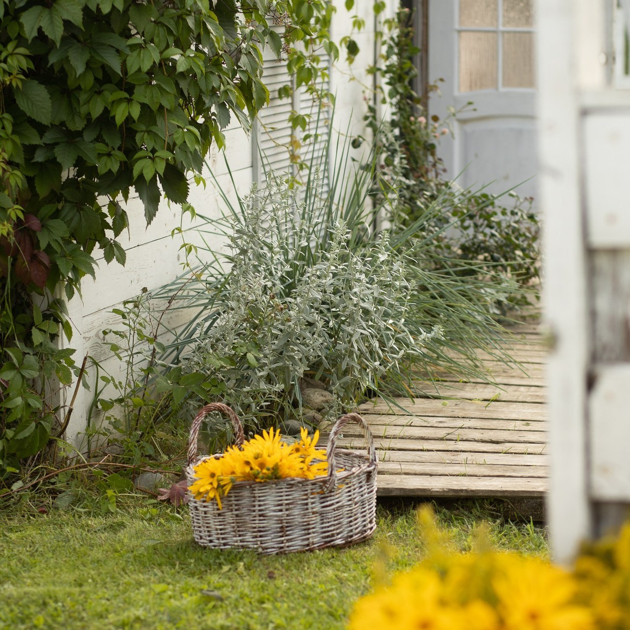 Отзывы. Свадебный и семейный фотограф в Череповеце Оксана Лобова
