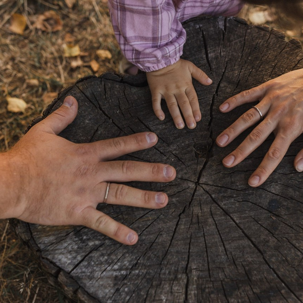 Отзывы. Семейный фотограф в Москве