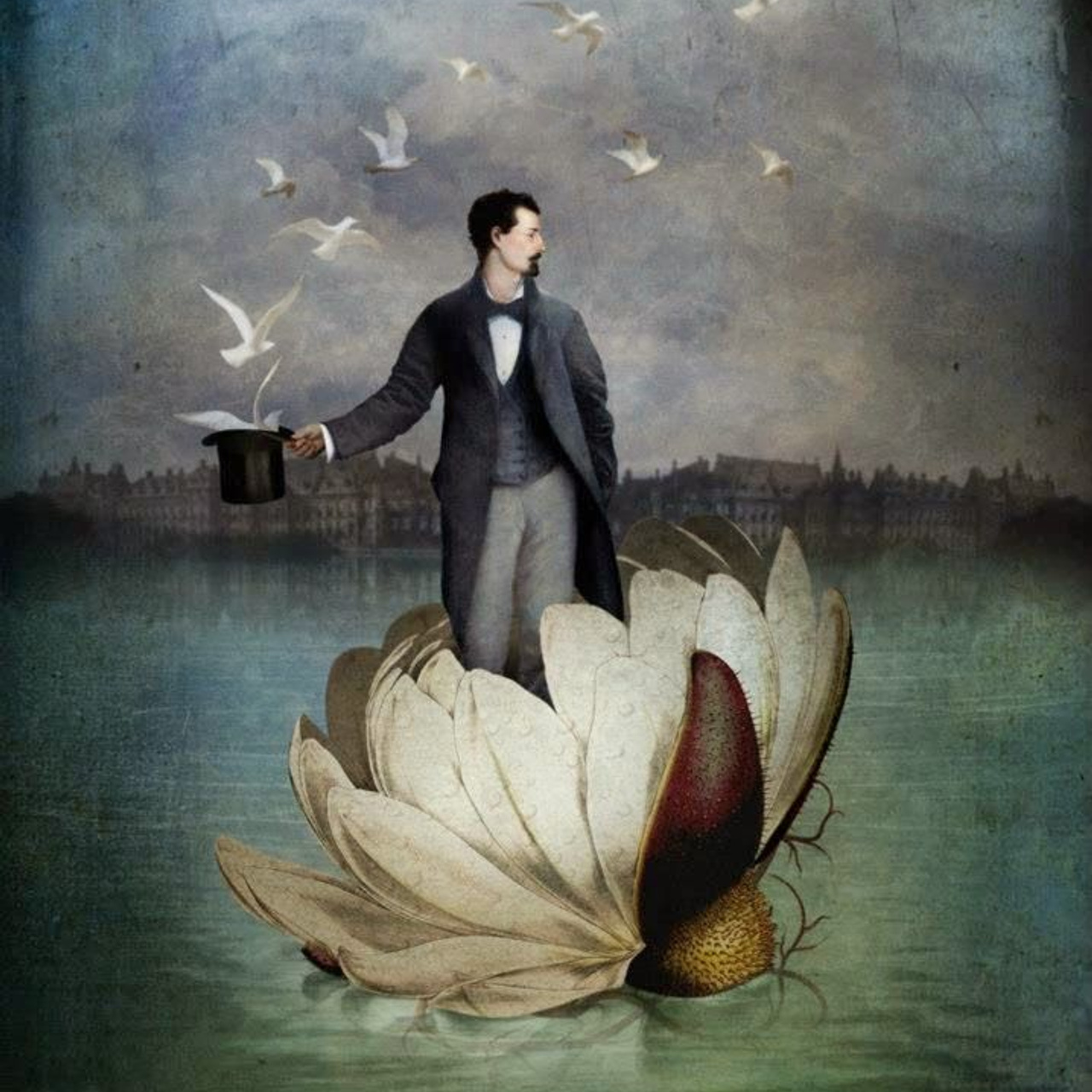 Отзывы о фотографе Владиславе Степашове