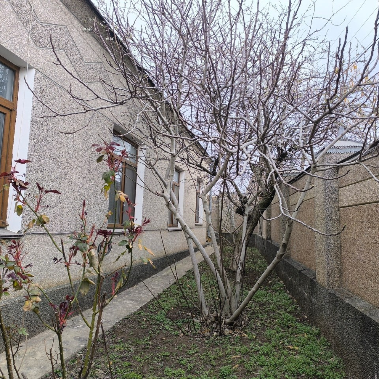 Отзывы. Фотограф в Крыму