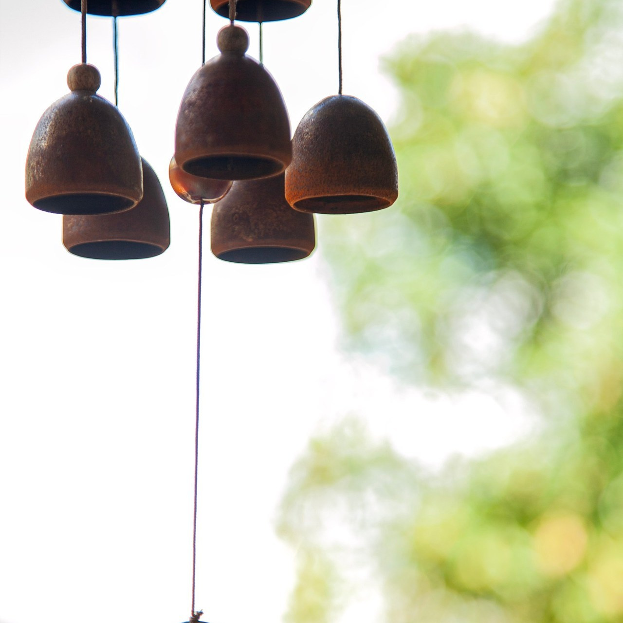 Отзывы. Фотограф в Крыму