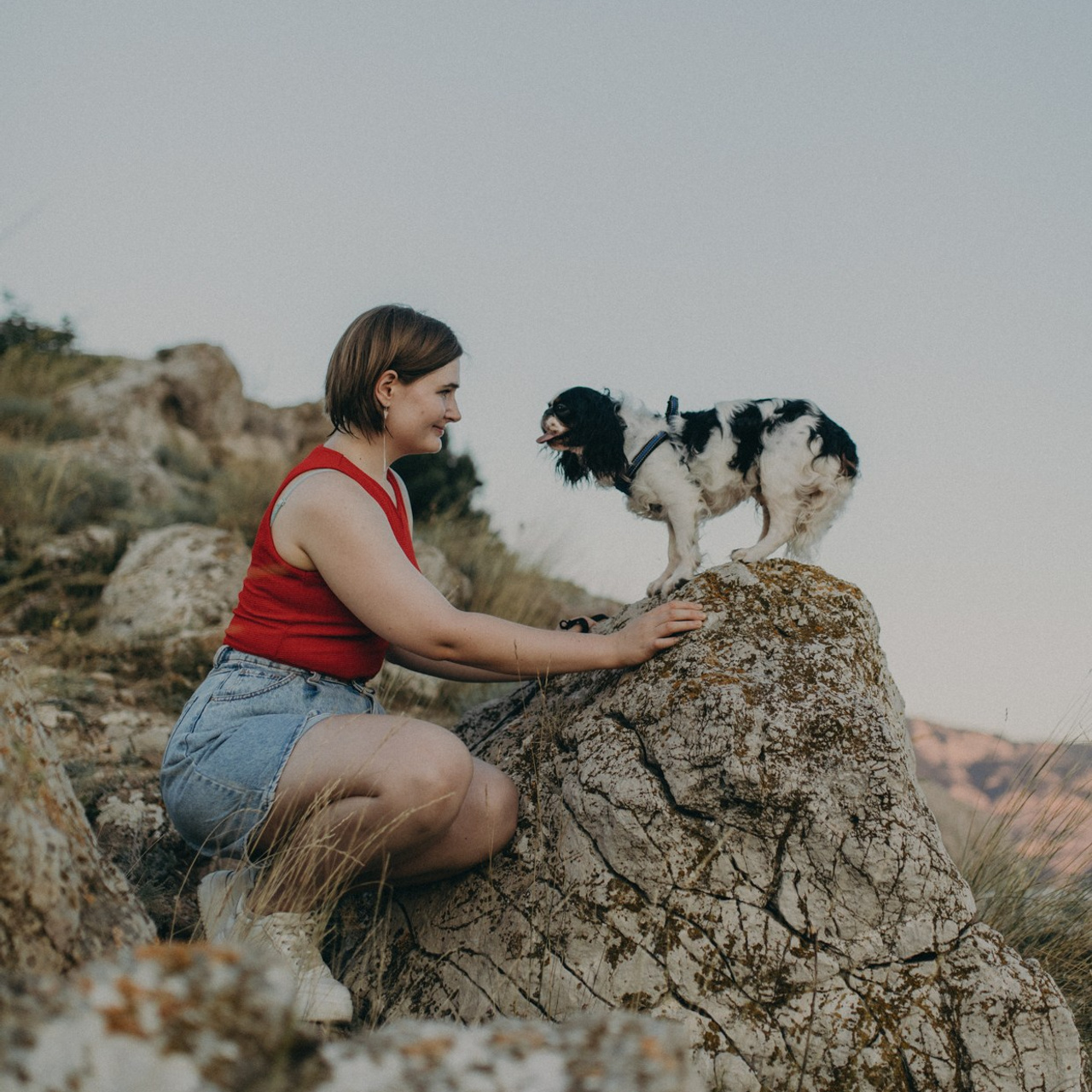 Отзывы. Ozarenie