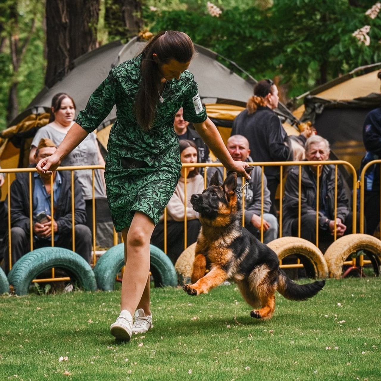 Отзывы. Фотограф в Ростове —на — Дону