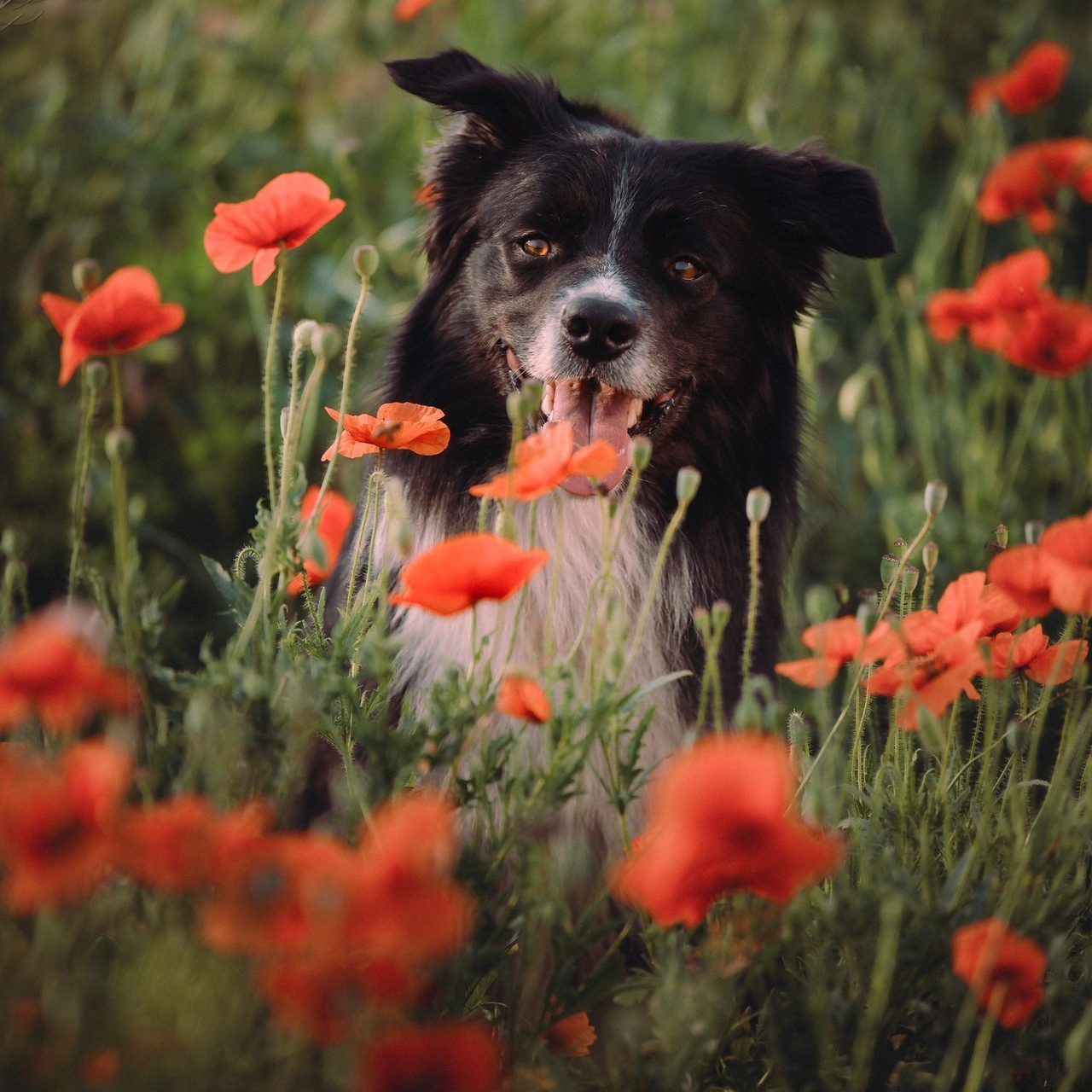 Отзывы. Фотограф в Ростове —на — Дону