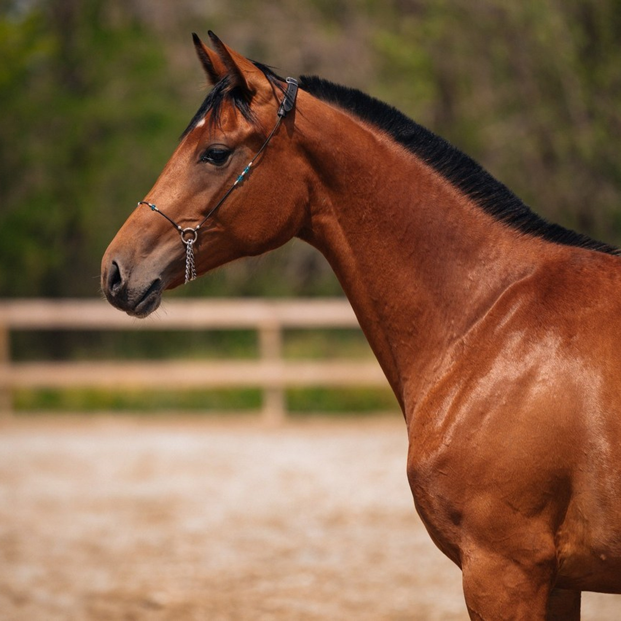 Отзывы. Фотограф в Ростове —на — Дону