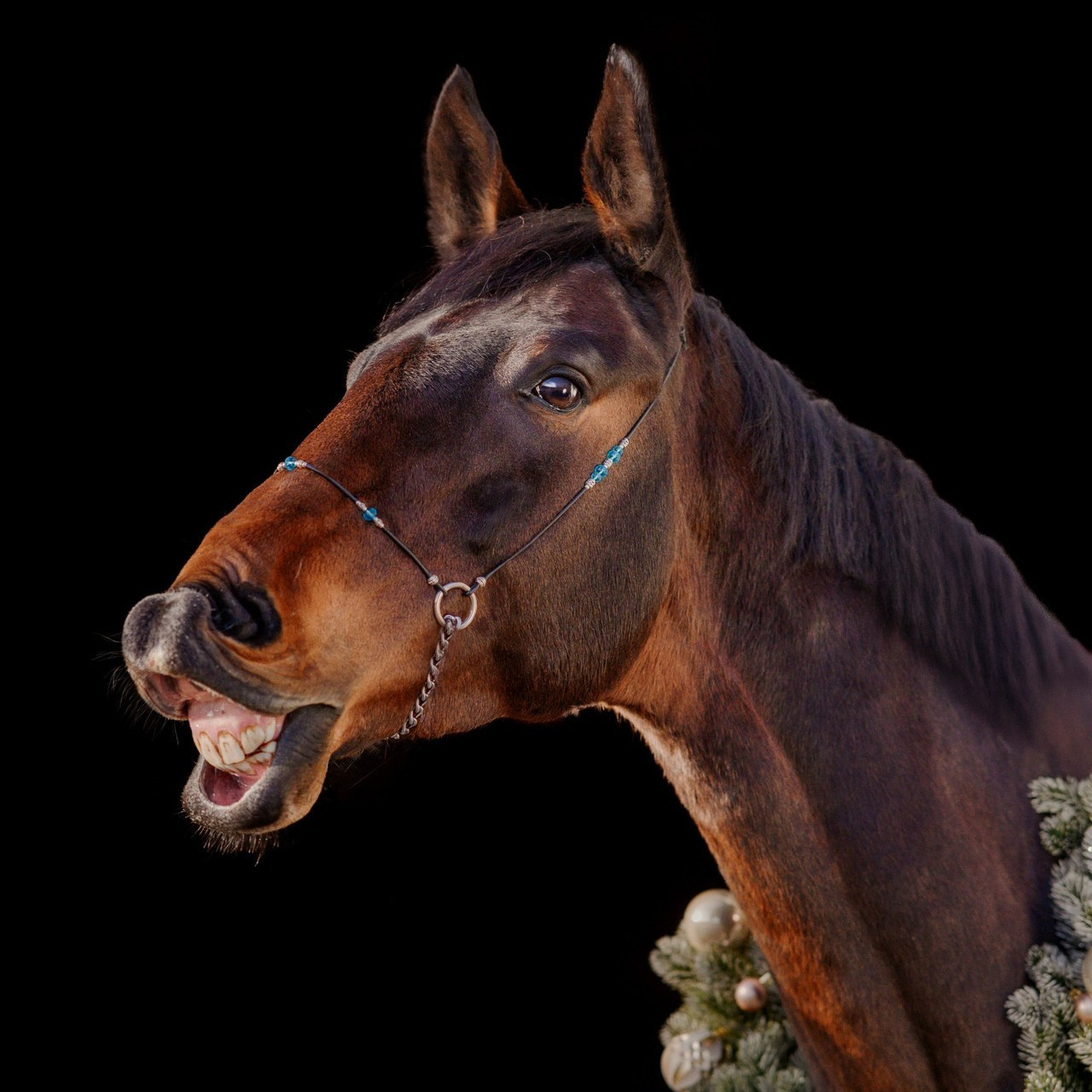 Отзывы. Фотограф в Ростове —на — Дону