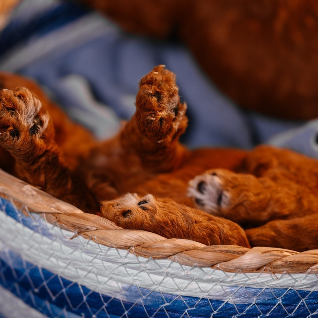Отзывы. Фотограф в Ростове —на — Дону
