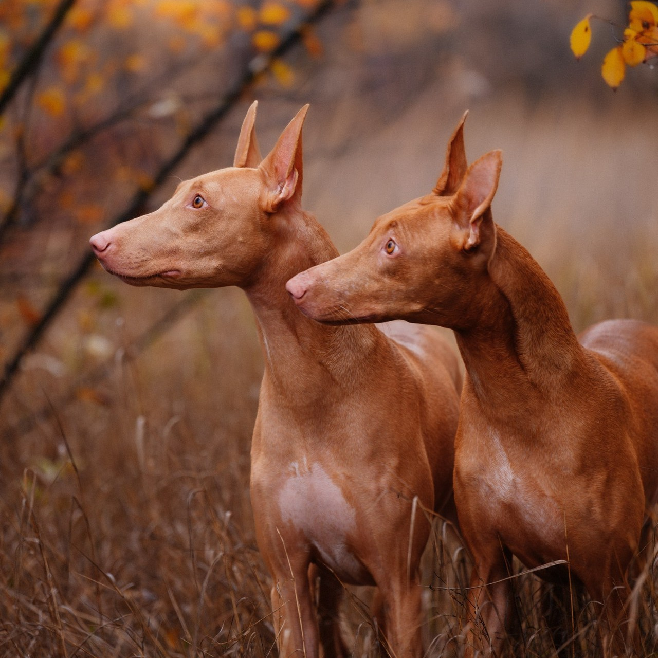 Отзывы. Фотограф в Ростове —на — Дону