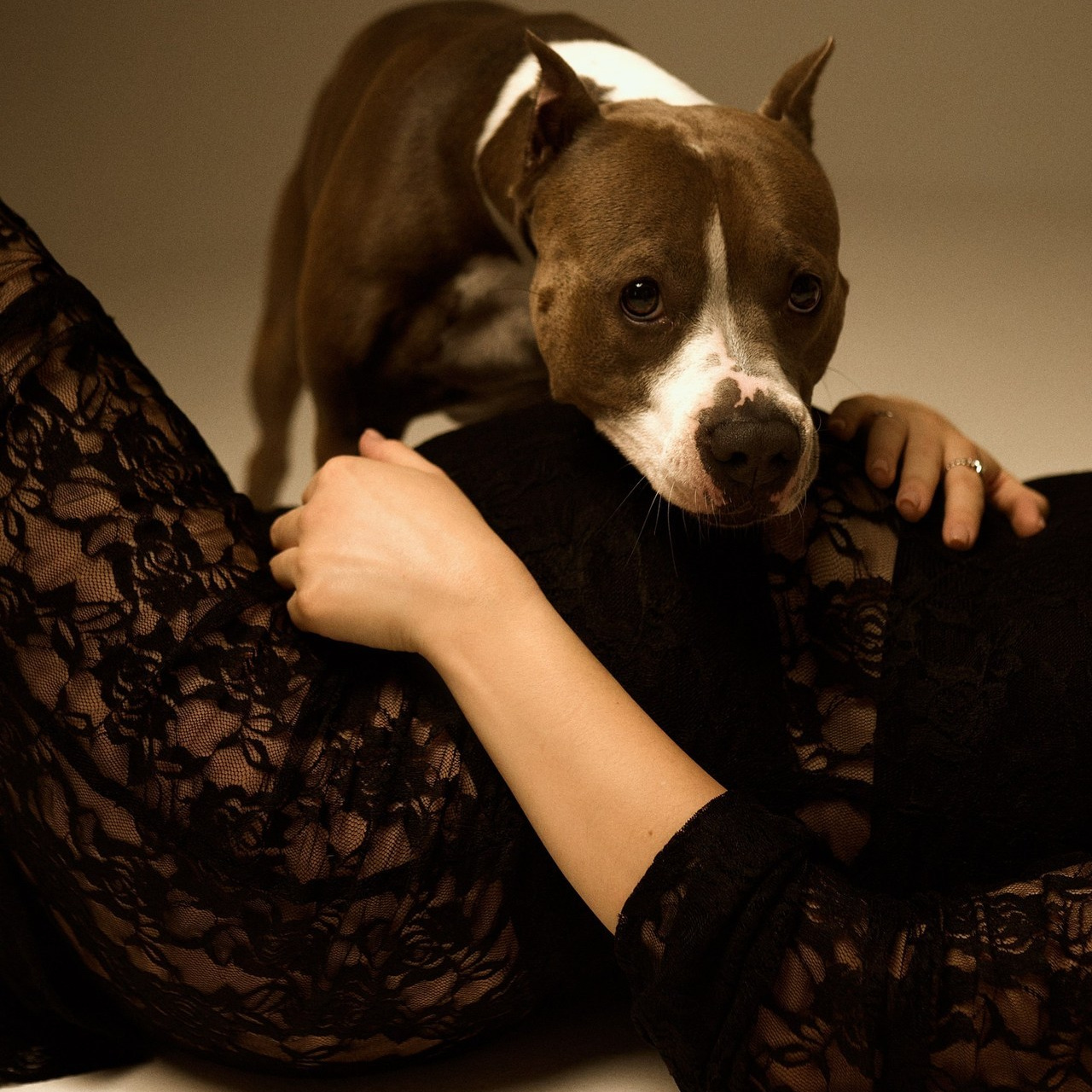 Отзывы. Свадебный фотограф в Ростове на Дону