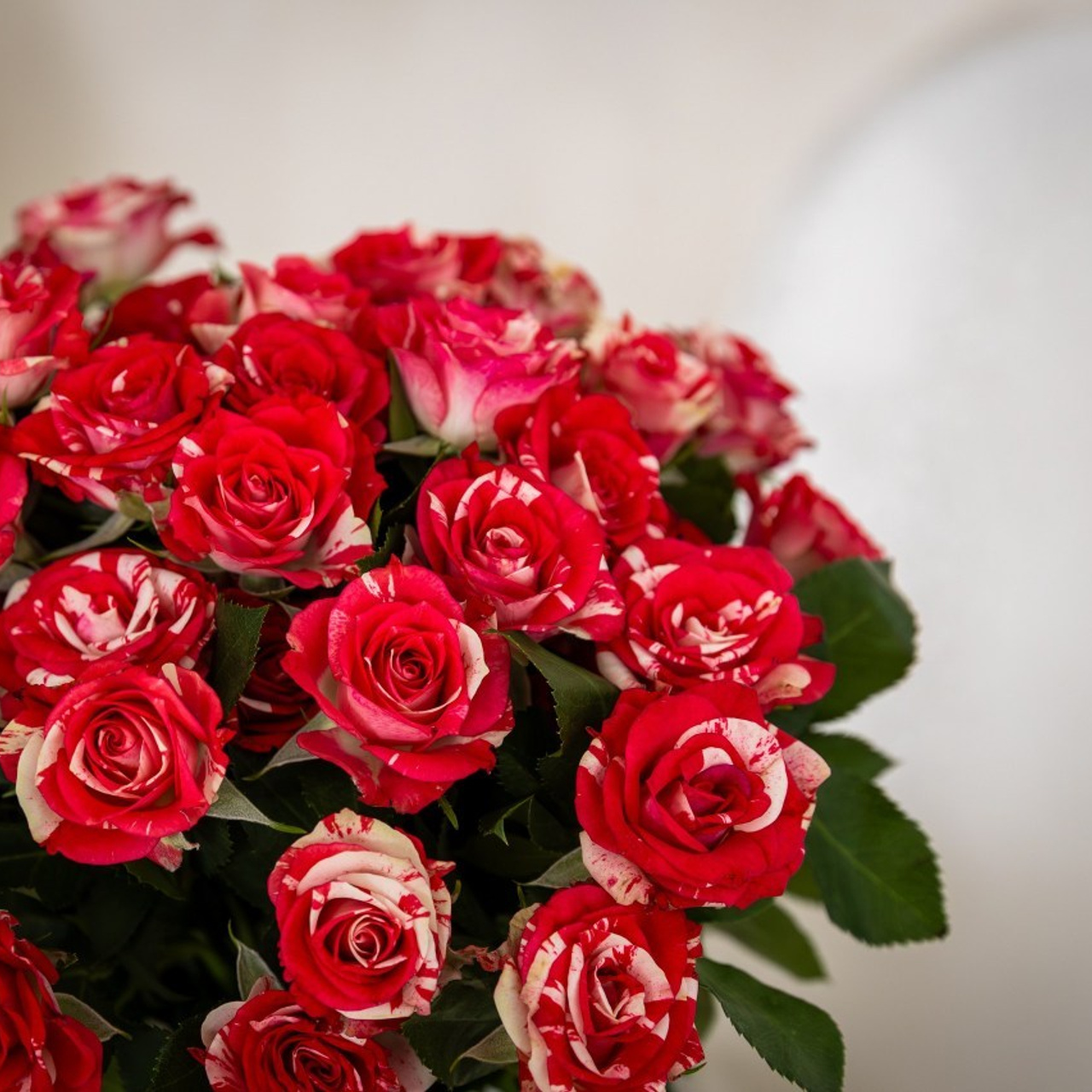 Отзывы. Екатерина Рыбина фотограф в Нижнем Новгороде