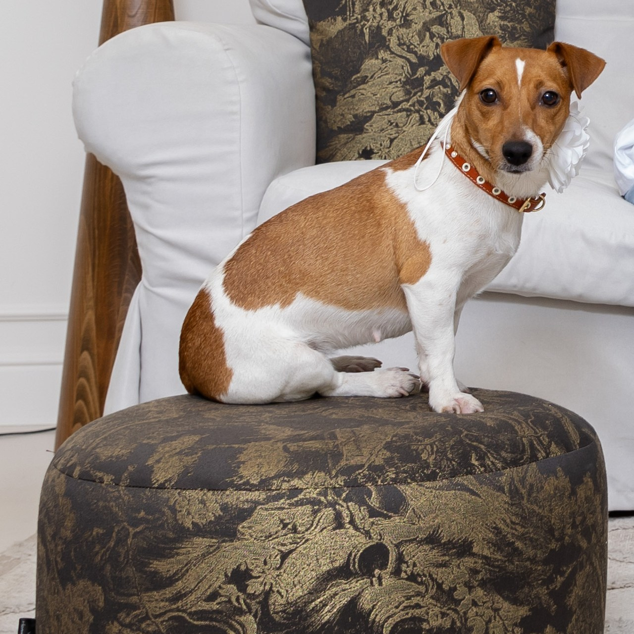 Отзывы. Нани Лоза Фотограф Краснодар