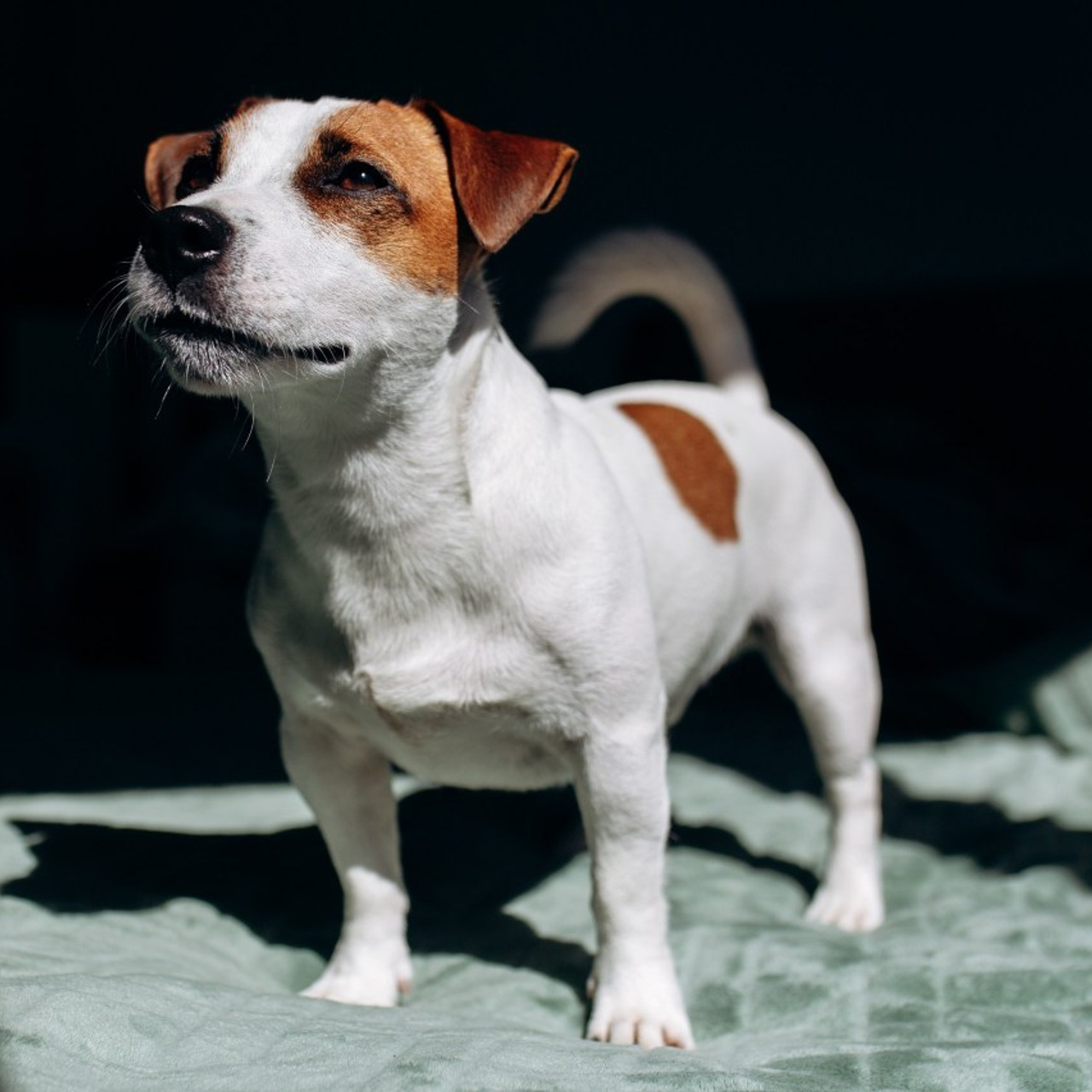 Отзывы. Портретный фотограф В Крыму и преподаватель Екатерина Покровская