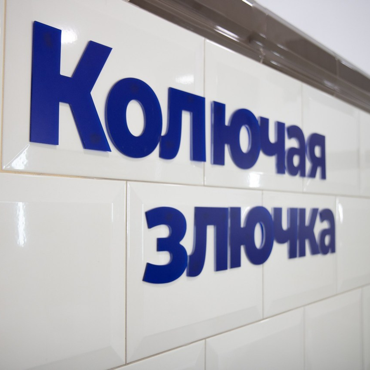 Отзывы. Фотограф в Москве Бондарь Ксения