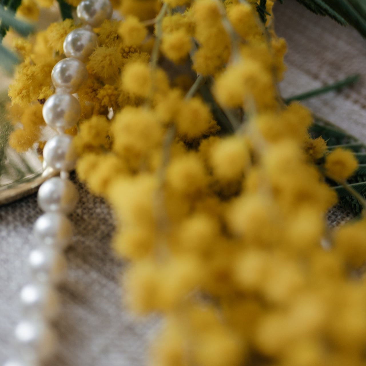 Отзывы. Елена Ток женский фотограф Нижний Новгород